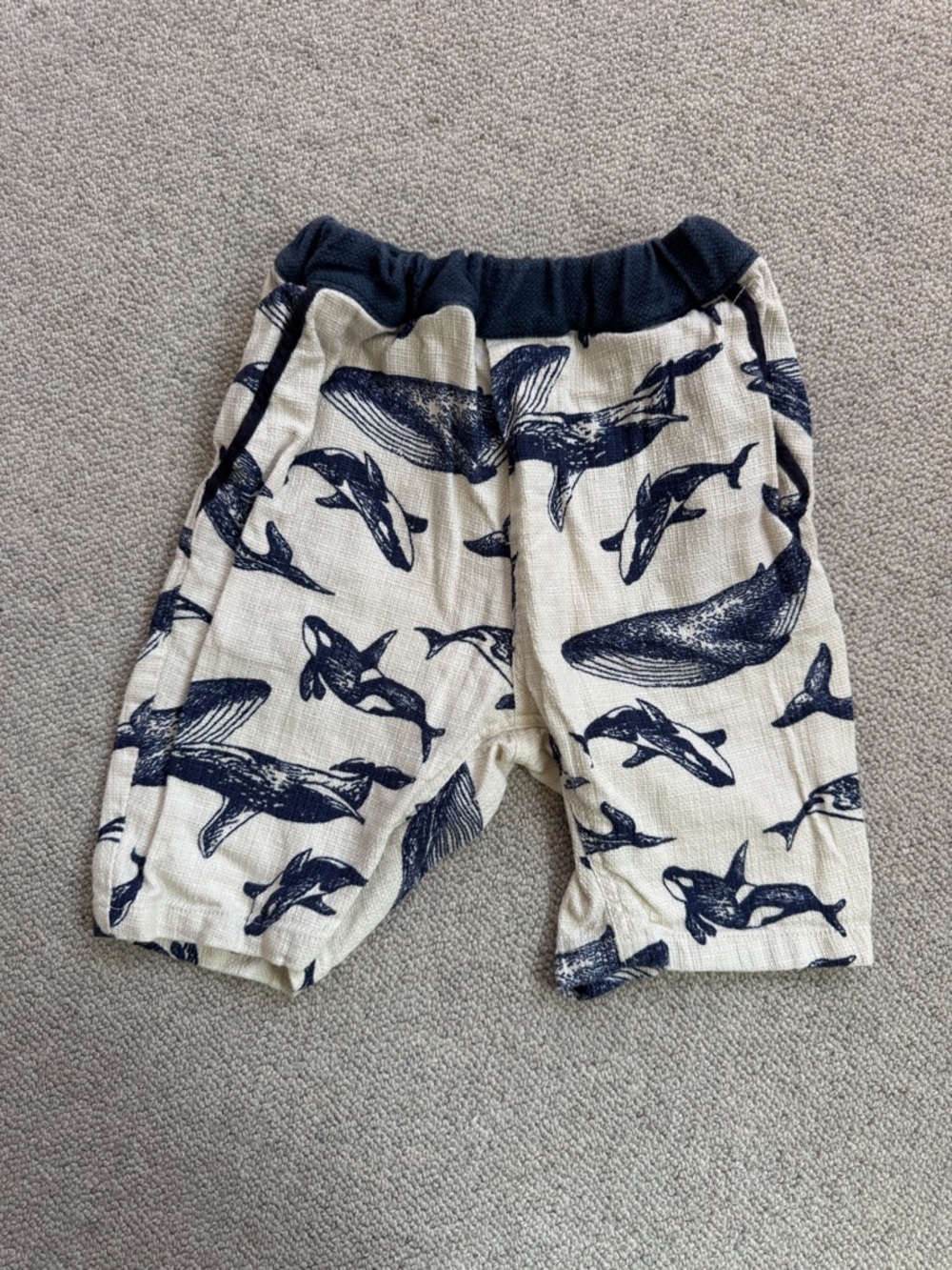Navy Whale Print Kids Shorts